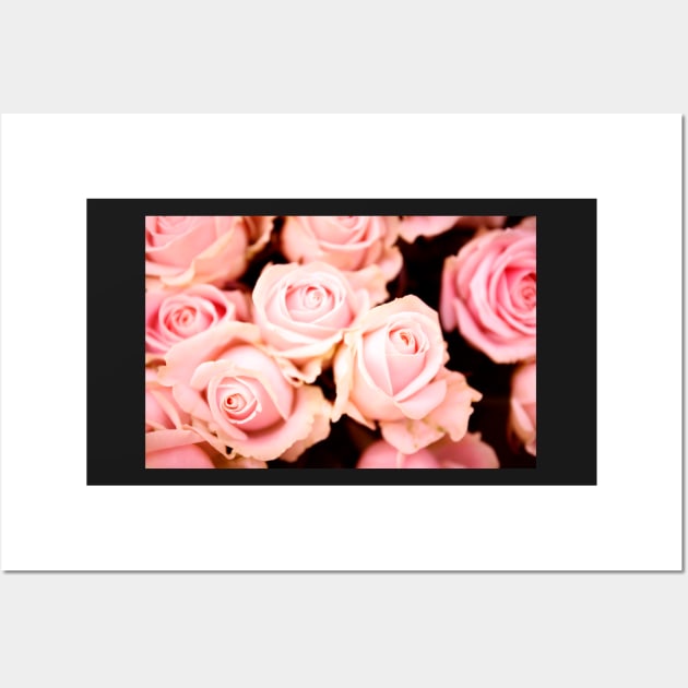 Roses for Valentine Wall Art by Z Snapper